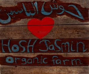 Hosh Jasmin
