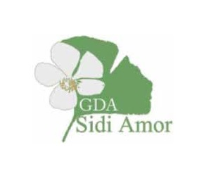 Sidi Amor, Le Groupement de Développement Agricole