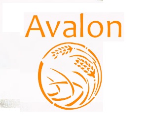Avalon Dagbesteding Alkmaar